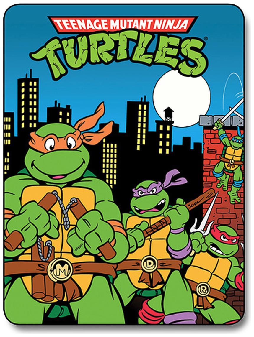 Teenage Mutant Ninja Turtles 45