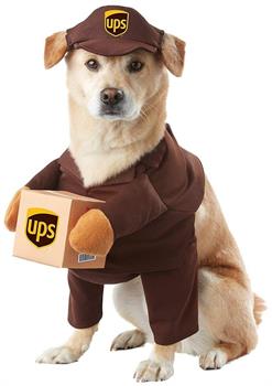 Pet Ups Pal Costume