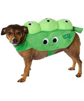 Peas Pet Costume