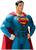 DC Comics Superman and Wonder Woman Plus Collectibles Book and Figures