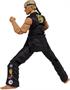 The Karate Kid 6 Inch Action Figure | Johnny Lawrence