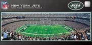 New York Jets Stadium NFL 1000 Piece Panoramic Jigsaw Puzzle