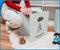 Star Trek: The Original Series NCC-1701 Storage Bin Cube Organizers | Set of 3