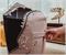 Jurassic World Open Mouth T-Rex Clothes Hamper