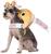 Fortune Cookie Pet Costume