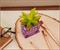 Harry Potter Knight Bus 3-Inch Ceramic Mini Planter With Artificial Succulent