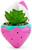 Sanrio Hello Kitty Strawberry 5-Inch Planter With Artificial Succulent