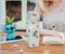 Disney Lilo & Stitch Coconuts Plastic Milk Carton Bottle | Holds 16 Ounces