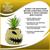 Disney The Nightmare Before Christmas Oogie Boogie 5-Inch Ceramic Mini Planter
