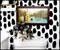 Schitt's Creek Welcome Sign Replica Framed MDF Hanging Wall Art | 10 x 18 Inches