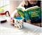 Scooby-Doo and the Gang "Crystal Cove" Ceramic Mug | Holds 13 Ounce