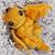 Little Embers 7 Inch Plush w/ Moveable Limbs & Magnetic Hands | Sparks (Orange)