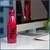 Harley Quinn Stainless Steel Vacuum Hot or Cold Insulated Water Bottle, 17oz