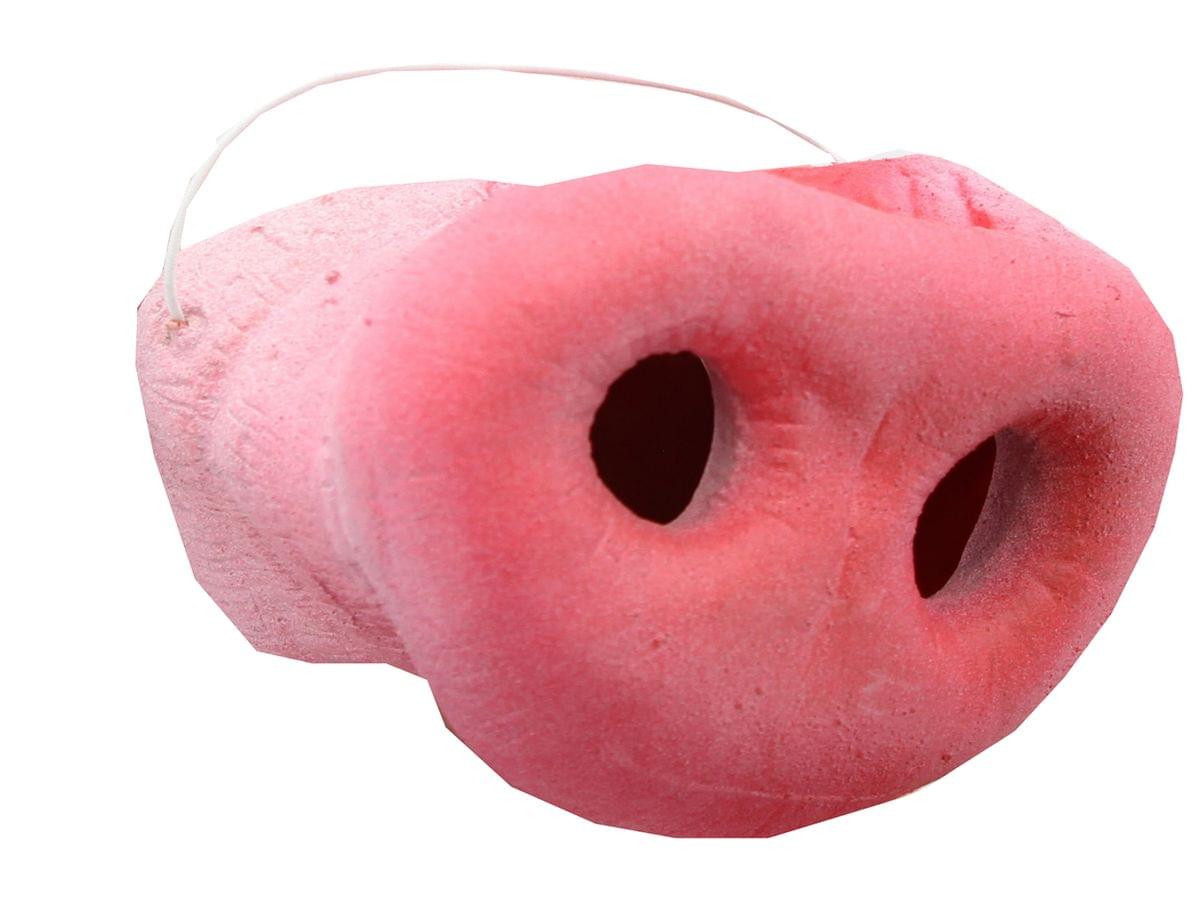 Pig Costume Nose - ToyHo.com