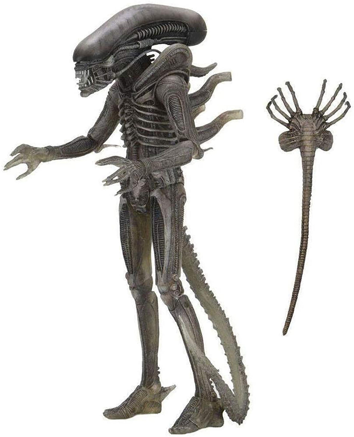 Реальный чужой. Фигурка NECA Alien 40th Anniversary big Chap 51598. Чужой фигурка NECA 1979. Чужой 1979 Ксеноморф фигурка. Фигурка NECA Alien Xenomorph 31930.